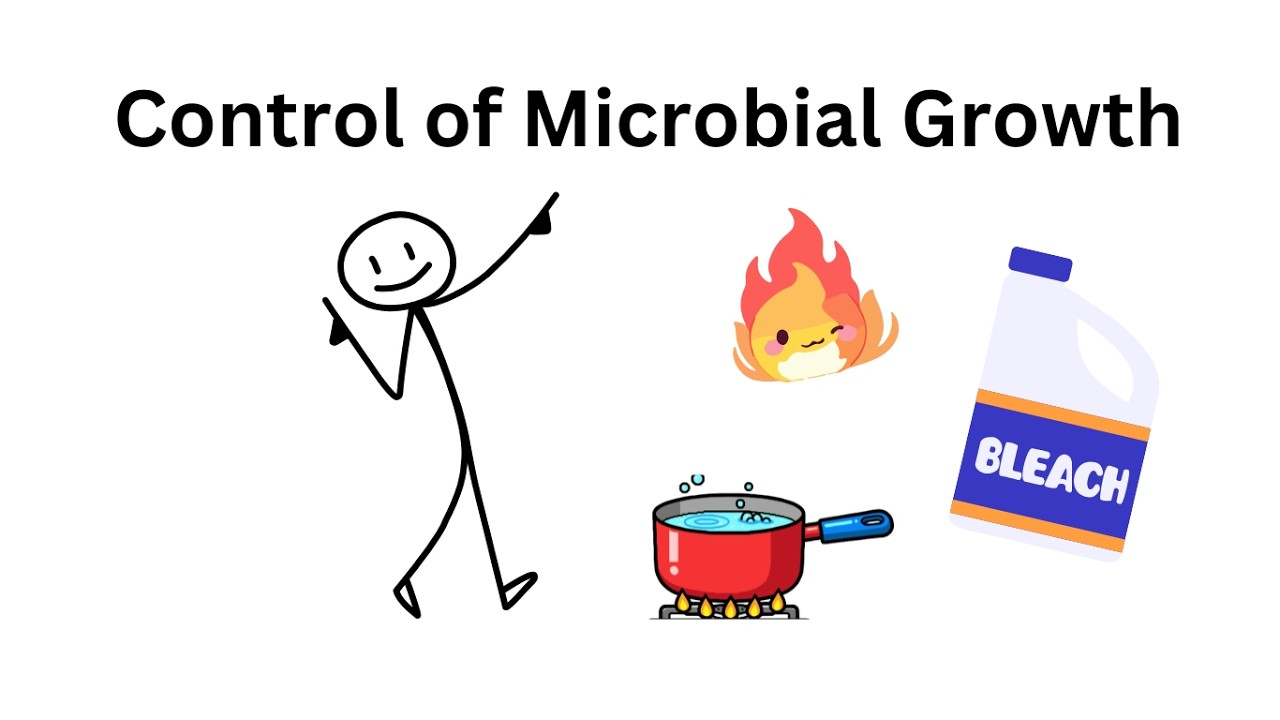 Control of Microbial Growth | The Controls