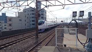 JR東日本E657系K15編成　亀有通過　20240307 134058