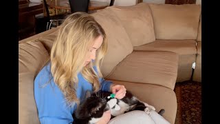 Basepaws Results For My Cats