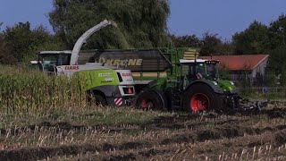 Maïs 2023 Claas Jaguar 950 Stuck In The Mud Fendt 936 Om Te Slepen En Duwen Krone Kuunders