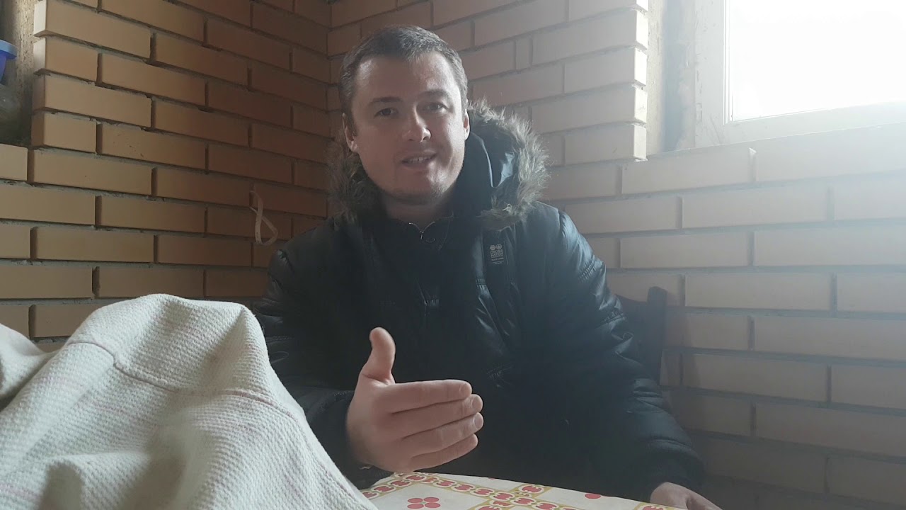 Как прогнать собак с детских площадок! - YouTube