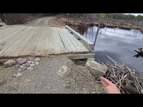 Very Serene Trail With Lots Of Frost Heave Mud And Rocks Vlog