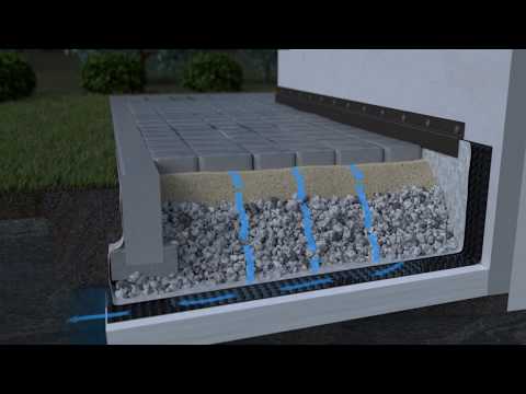 Video: Floristisk Mirakel - Stabiliserede Planter