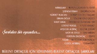 Mavi Sakal - Olmalı mı Olmamalı mı / Bülent Ortaçgil Tribute (Official audio) #adamüzik Resimi