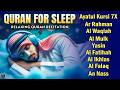 Quran recitation in a peaceful voice I Alfatiha, Ayat AlKursi, Yasin, AlWaqiah, Arrahman, Alaa Aqel