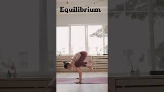 Balancing in physics. Equilibrium #stem #maths #education