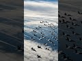 Fighter Jet Squadron in Formation | Air Power Display #defensesystem #military #usmilitarycombat