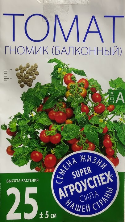 Томат балконный Гномик - YouTube