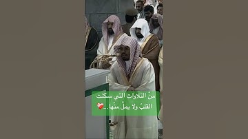 تلاوة مؤثرة الشيخ ياسر الدوسري