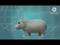 Learn the ABCs H is for Hippo