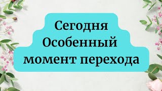 Сегодня - Особенный момент перехода.