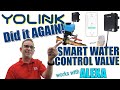 YOLINK Smart Motorized Water Valve | Automatic Main Water Shut-Off | works with ALEXA