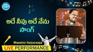 Ade Neevu Ade Nenu Song - Maestro Ilaiyaraaja Music Concert 2013 - Telugu - California, USA