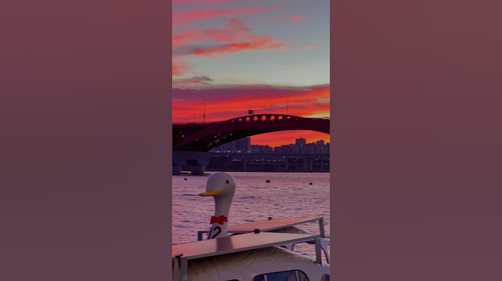 망원 한강공원 오리배🐤🌆