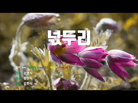 [은성 반주기] 넋두리 - 김현식 노래 / MR / 가사 / 반주