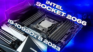 Core i9-10920x vs i5-13600k, Socket 2066 в играх в 2023. Раскроет ли "старичок" RTX 4090?