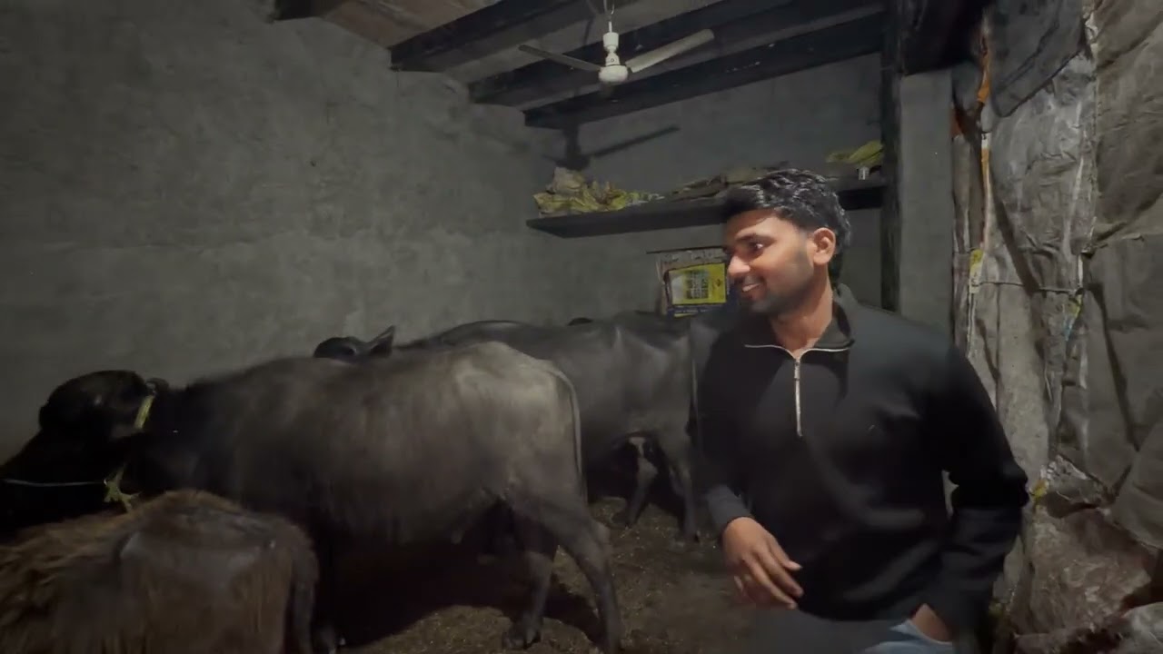 Noo milli behass🥲