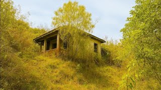 Marido Chega Em Casa De Surpresa E Vê Uma Dentadura No Quarto E Descobre O Bernardão Debaixo Da Cama
