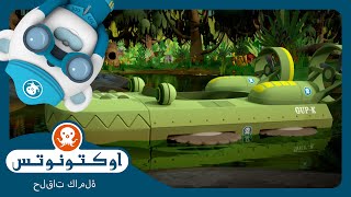 أوكتونوتس | 🌴 البحث في "المستنقع الكبير" 🥚 | السلسلة 4 | الحلقة  8