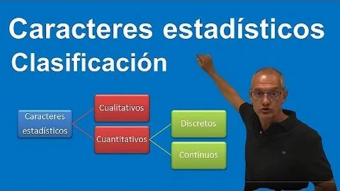 ¿Cuál es la función de los caracteres de clasificación?