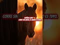 Espíritu Libre 🐎 | Nada Puede Detenerte #EspirituSalvaje #superacionpersonal #mensaje