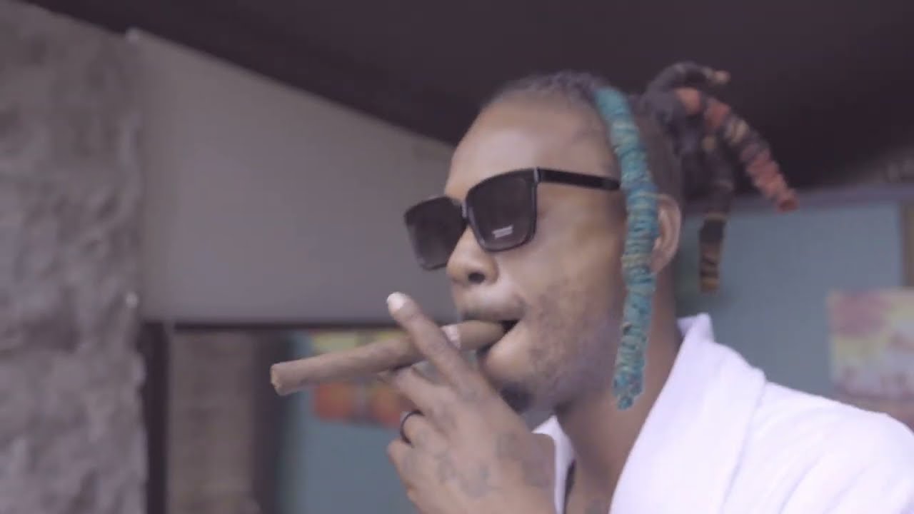 Budzilla - Bigger Dan (Official Music Video) 75Great Dance hall 2022