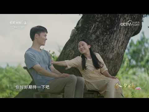 [2026总台七夕晚会]故事短片《古樟为证 岁岁相依》 | CCTV春晚