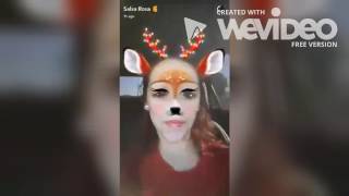 Salice Rose Snaps , 12-27-16