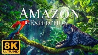 Amazon Expedition 8K ULTRA HD - Relaxing Scenery Film With Soft Music