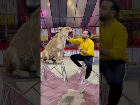 اتجوزت لوزة