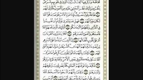 سورة محمد - الشيخ عبدالله خياط