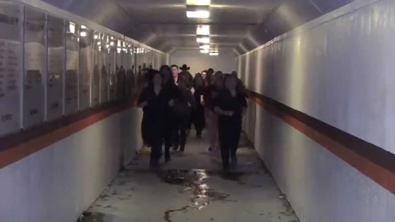 Virginia Maryland Regional College of Veterinary Medicine YouTube