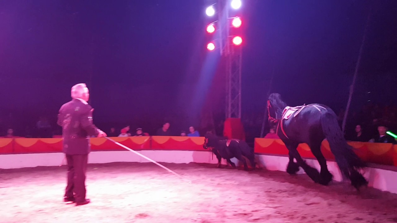 Mini und Maxi im Circus Karl Altoff Köllner 2017 YouTube