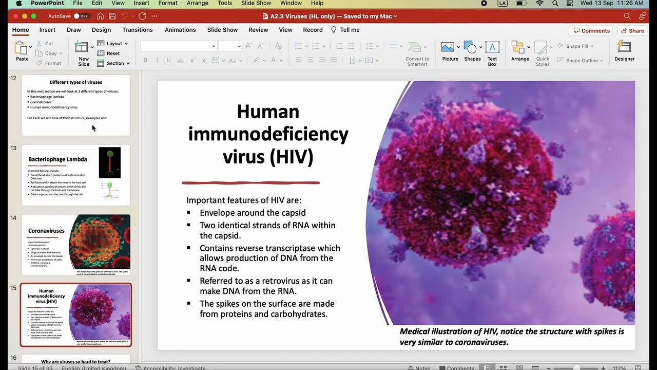 IB Biology A2.3 Viruses HL only (first exams in 2025) YouTube