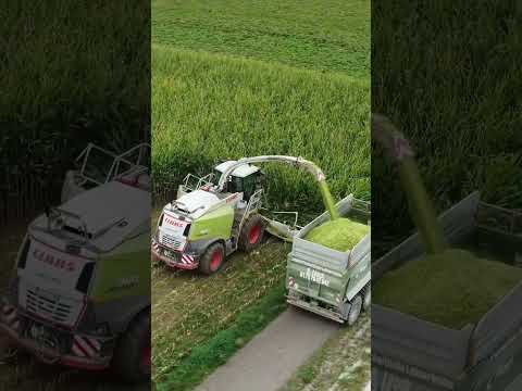 Maishäckseln mit einem