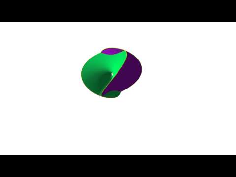 Enneper flythrough