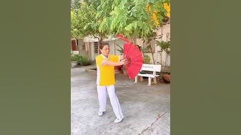 BÀI HƯỚNG DẪN THÁI CỰC SONG QUẠT 48 THỨC PHẦN 1 - Từ ĐT 1 đến ĐT42