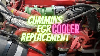 Replace EGR Cooler/ Things You Need To Know
