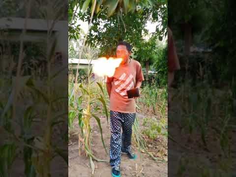 mulamu by wilberforce