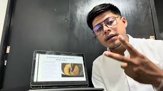 Proyecto Terminal 1 - Kevin Eder Bautista Franco