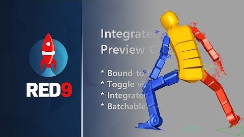 Red9 ProPack : mRig Preview Camera