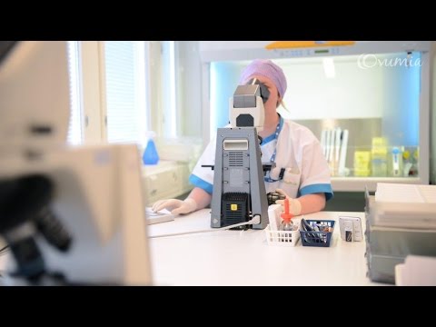 Fertility treatment biologist's working day