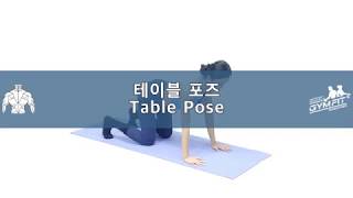 테이블 포즈, 초보자를 위한 영상, 올바른 스트레칭방법, 헬스장으로 복귀