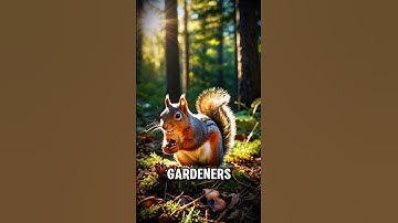 How Squirrels Help Grow Forests