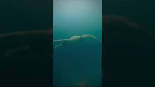 Reverse Dolphin kick