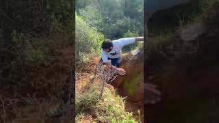 Giant Anaconda Chase - PART 3 🐍 #snake #shorts