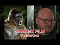 King kong a hammer film production