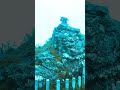 『剣山』【見た瞬間】から神聖な力を受け取る山　#剣山　#ヒーリング動画