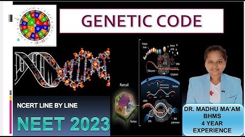 Genetic Code | By Dr.Madhu Sevanand Yadav l Molecular Basis Of Inheritance #Neet2023 #class12th