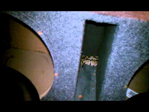 camera iphone 8 plus apk Ball python escape